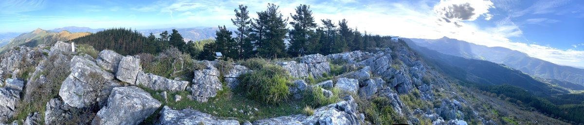 Tontorra