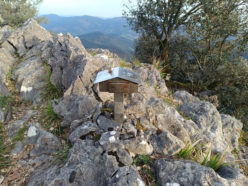 Buzoia