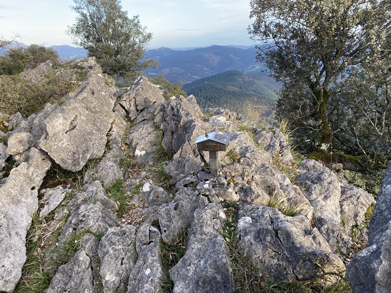 Tontorra
