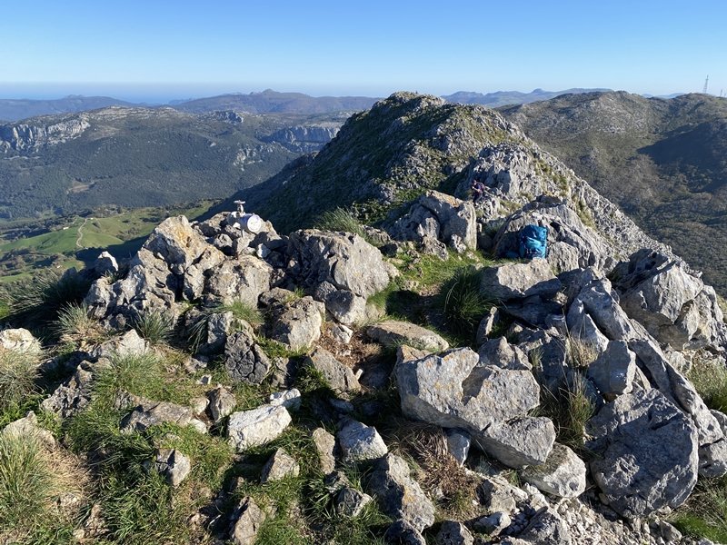 Tontorra