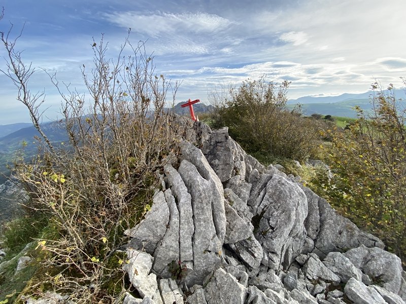Tontorra