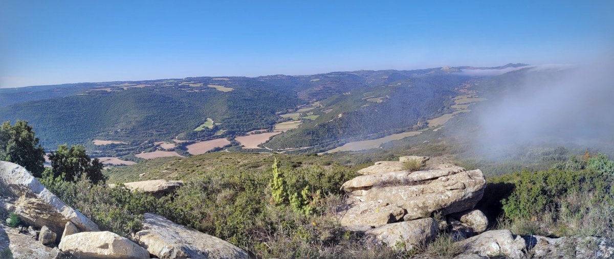 Aurinoko gailurra