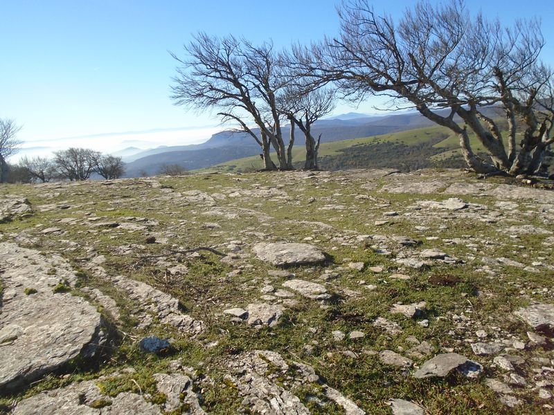 iriñeta