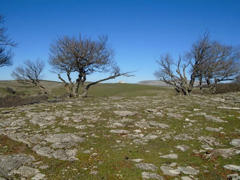 iriñeta