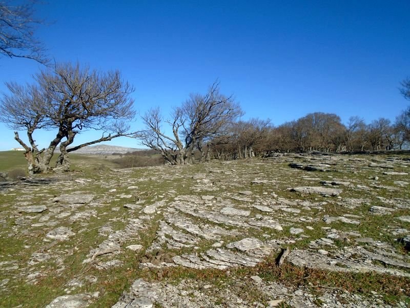 iriñeta