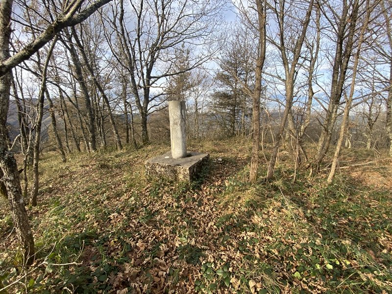 Tontorra
