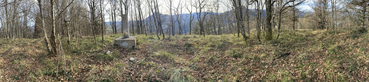 Tontorra