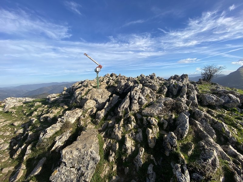 Tontorra