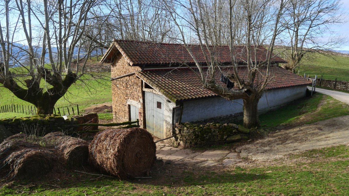 Mitxeleneko borda
