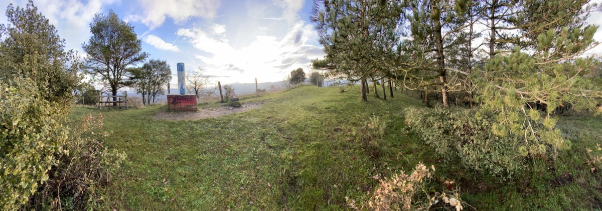 Tontorra