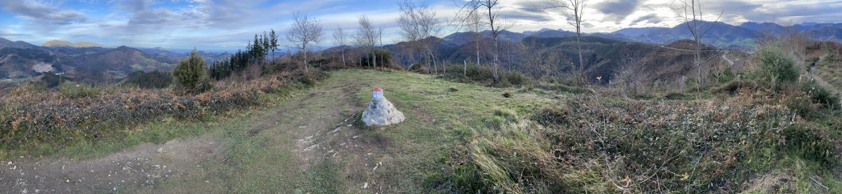 Tontorra