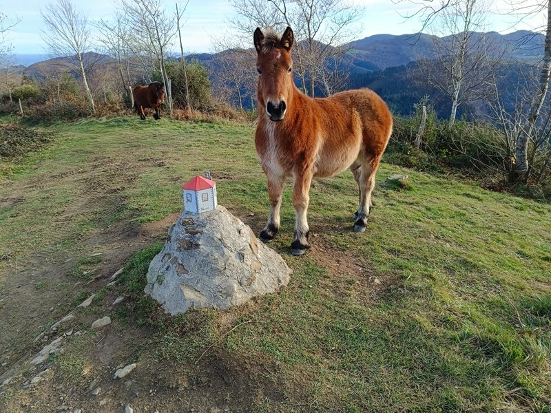 Tontorra