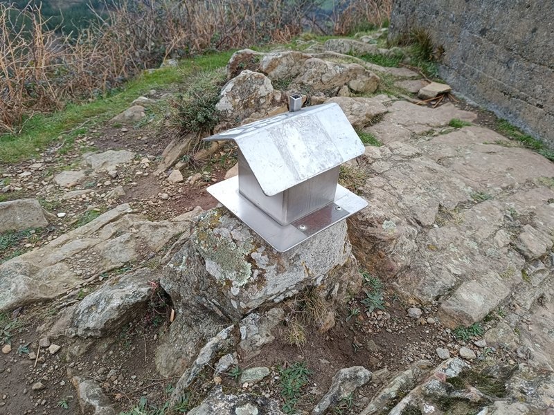 Buzoia