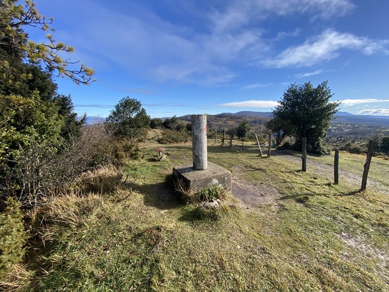 Tontorra
