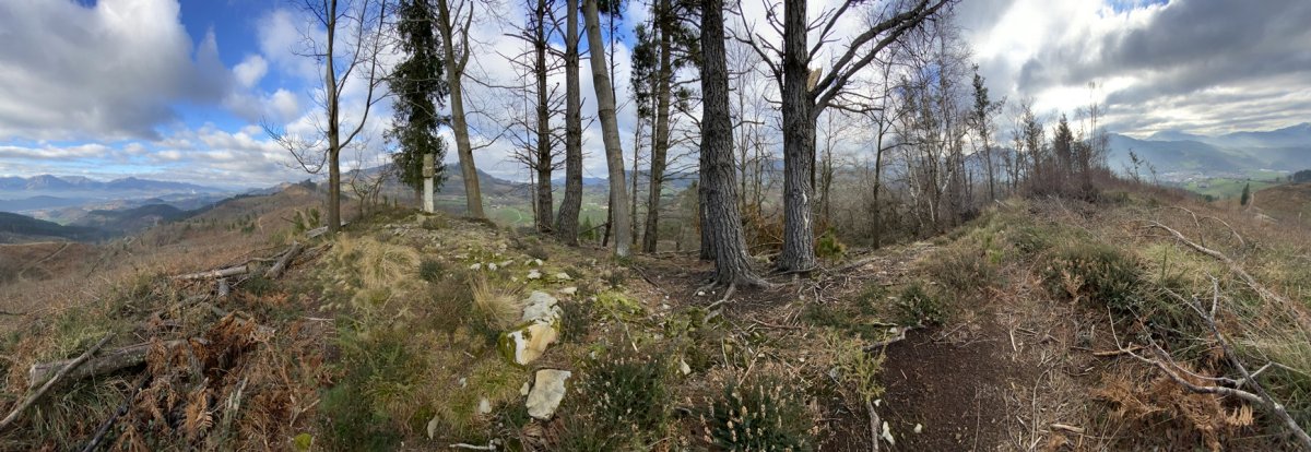 Gurutzedun Tontorra