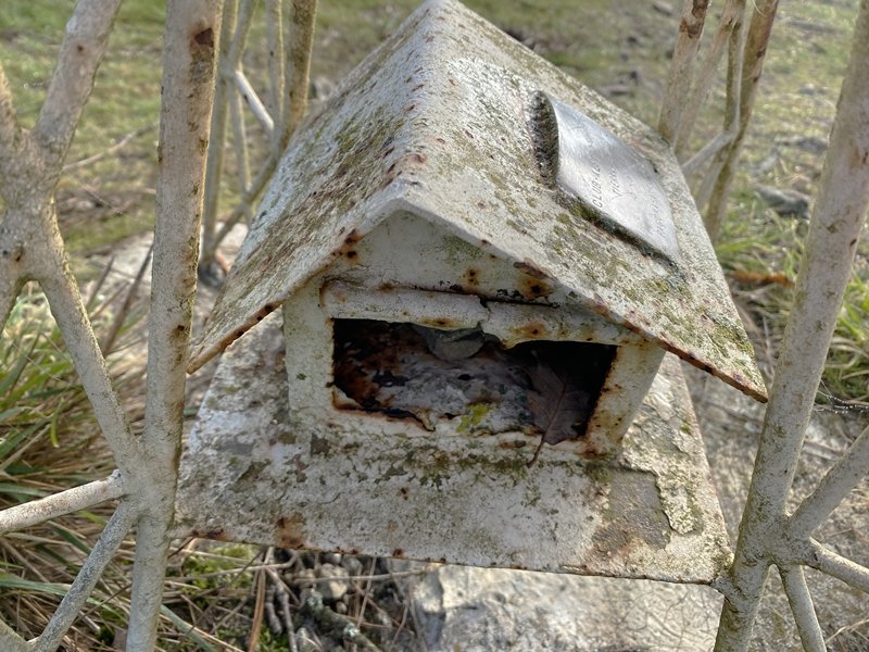 Buzoia