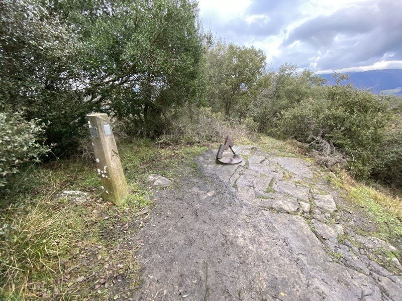 Tontorra