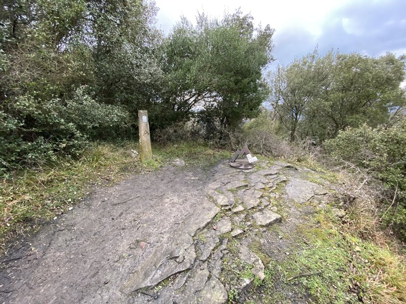 Tontorra