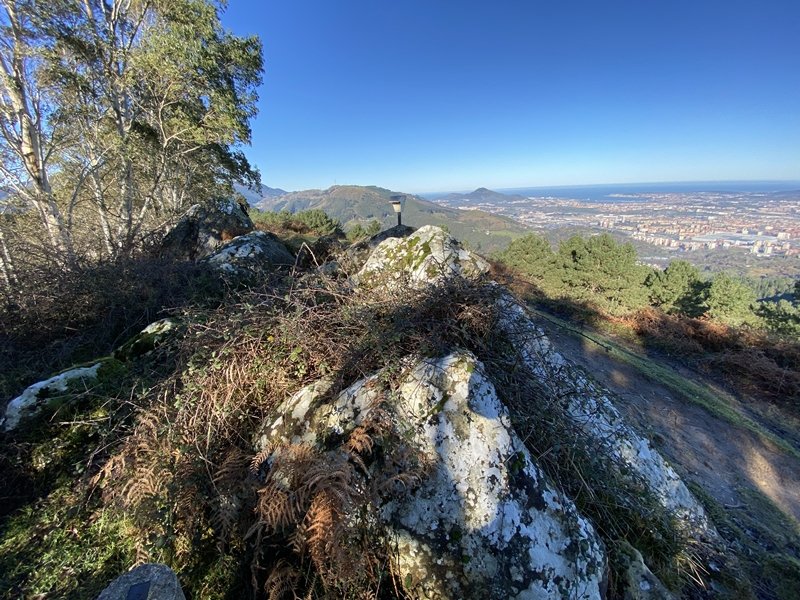 Tontorra