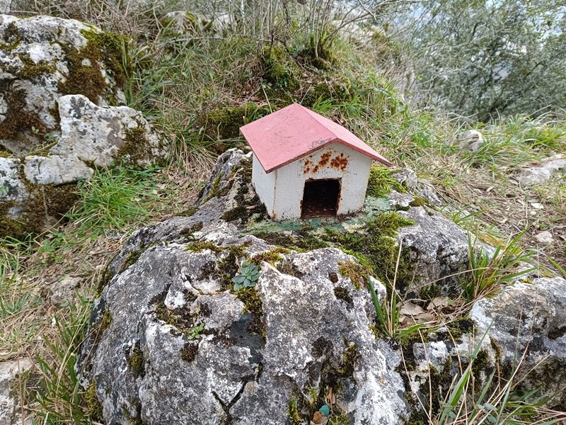 Buzoia