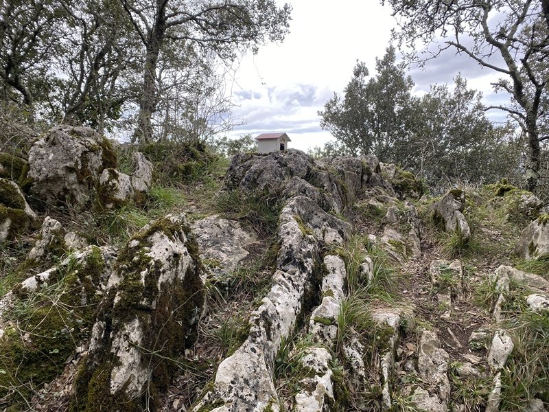 Tontorra