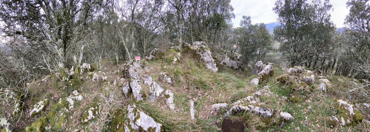 Tontorra