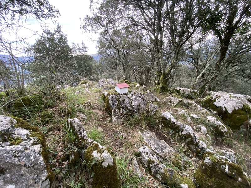 Tontorra