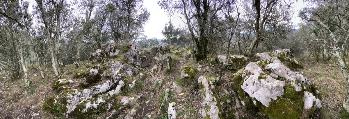 Tontorra