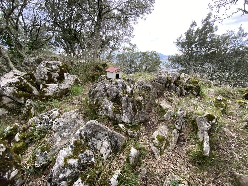 Tontorra