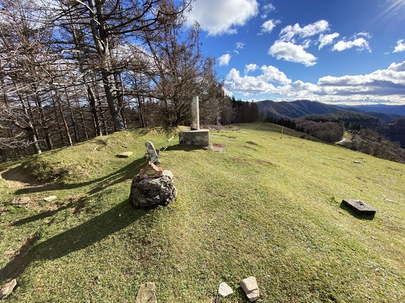 Tontorra