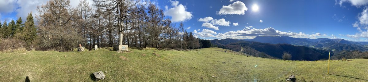 Tontorra
