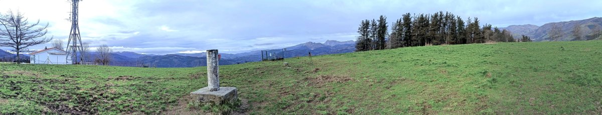Tontorra