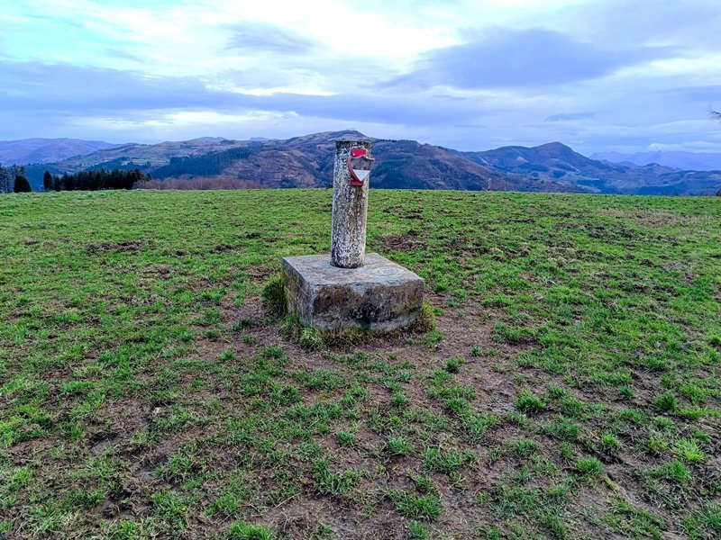 Tontorra