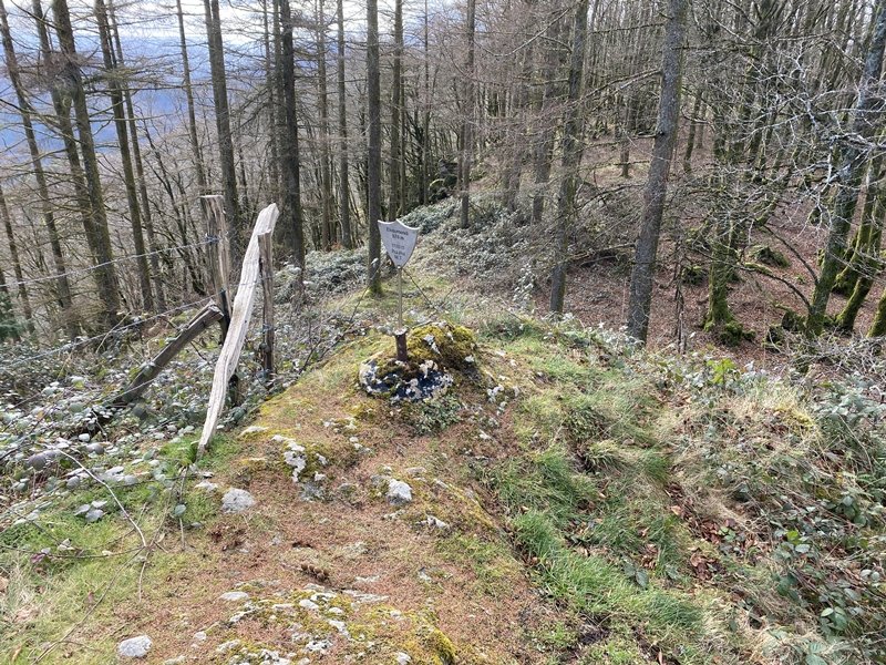 Tontorra