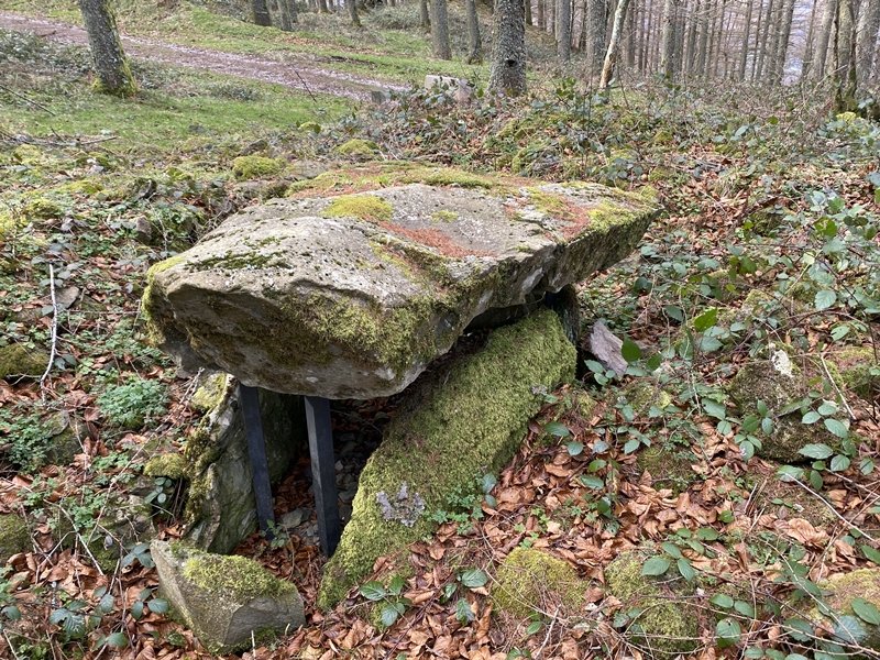 Agerreburu