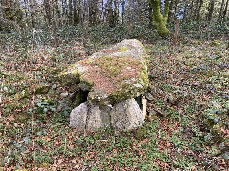 Agerreburu