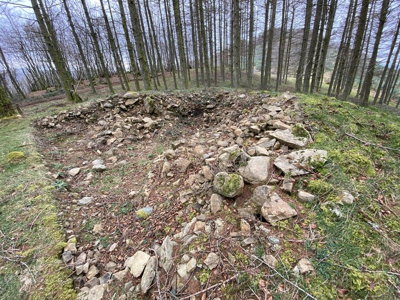 Maurketa