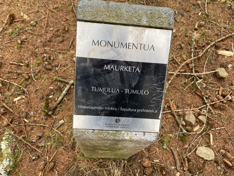 Maurketa