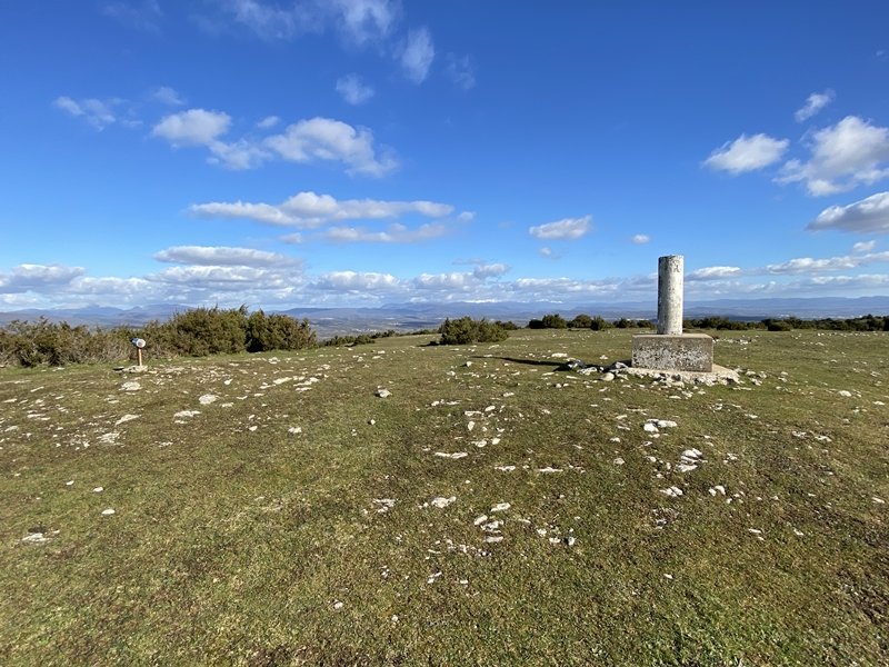 Tontorra