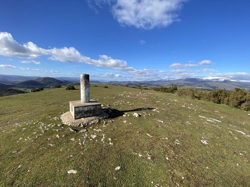 Tontorra