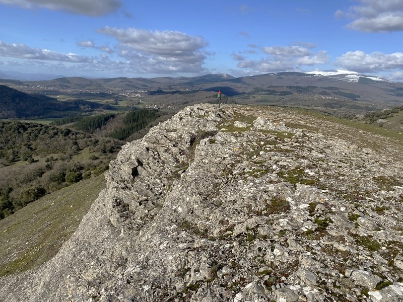 Tontorra