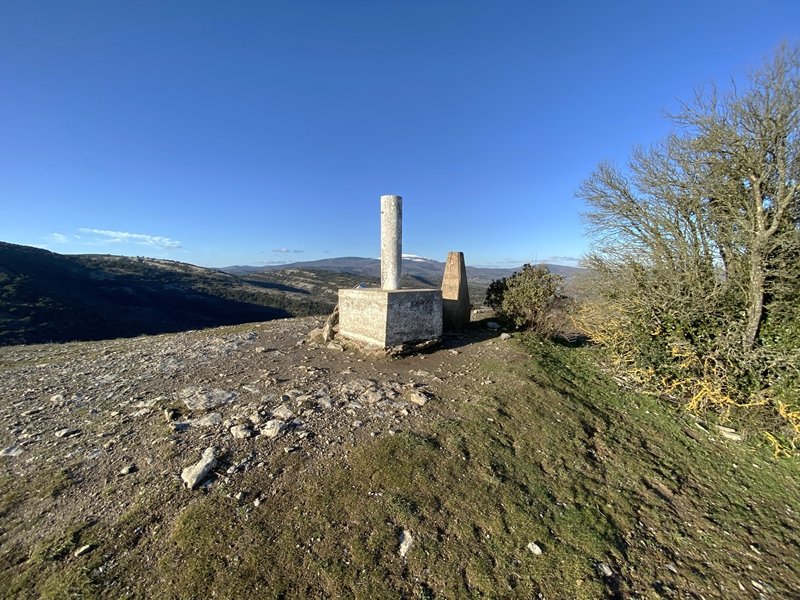 Tontorra