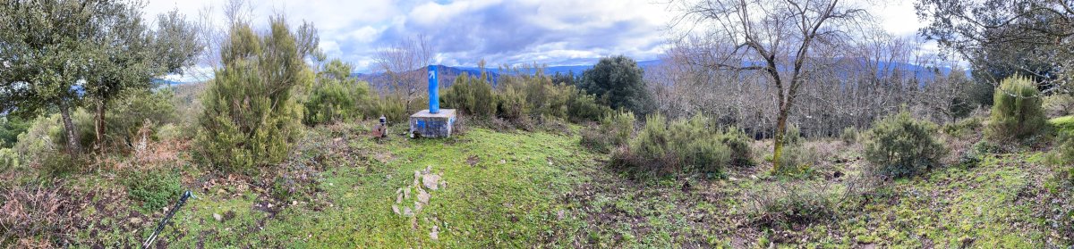 Tontorra