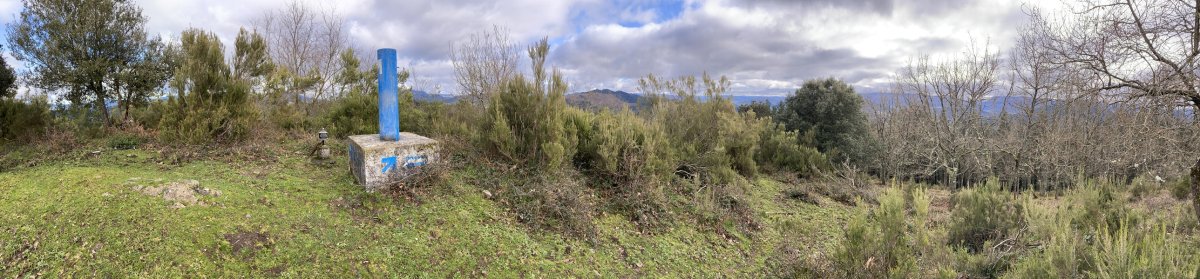 Tontorra