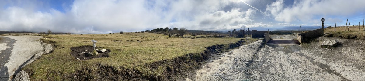 Tontorra