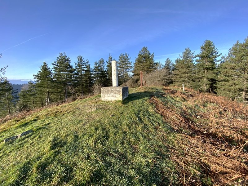 Tontorra
