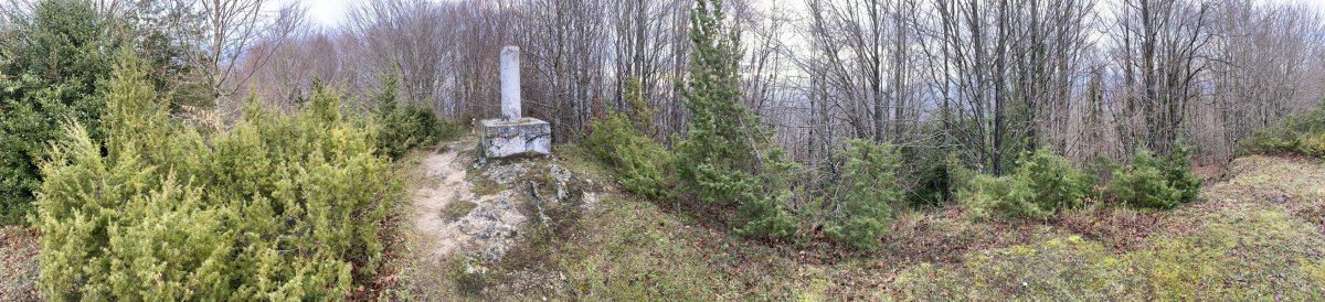 Tontorra
