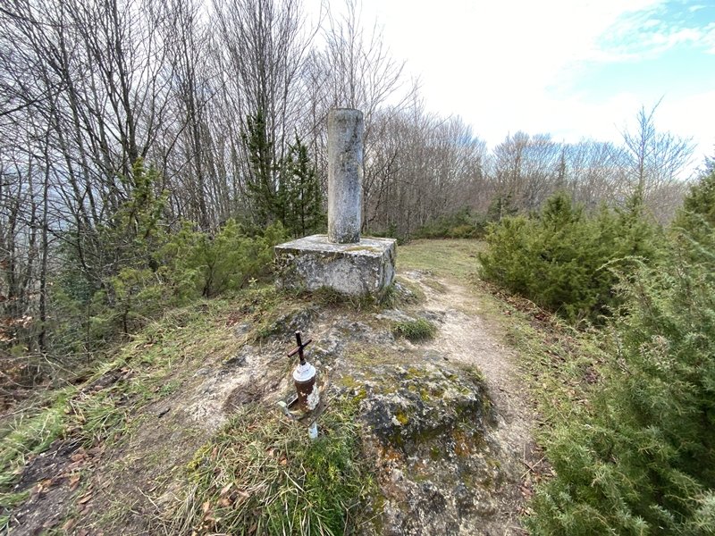 Tontorra