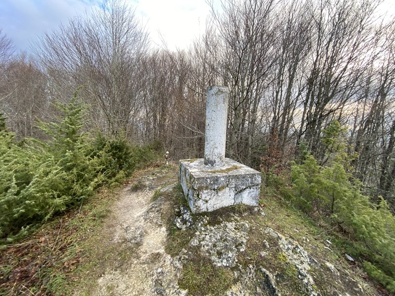 Tontorra