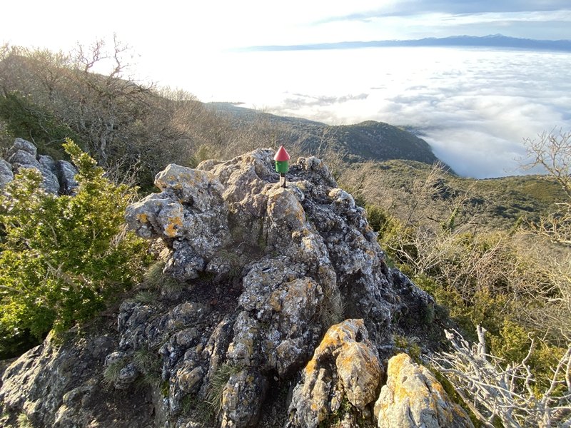 Tontorra